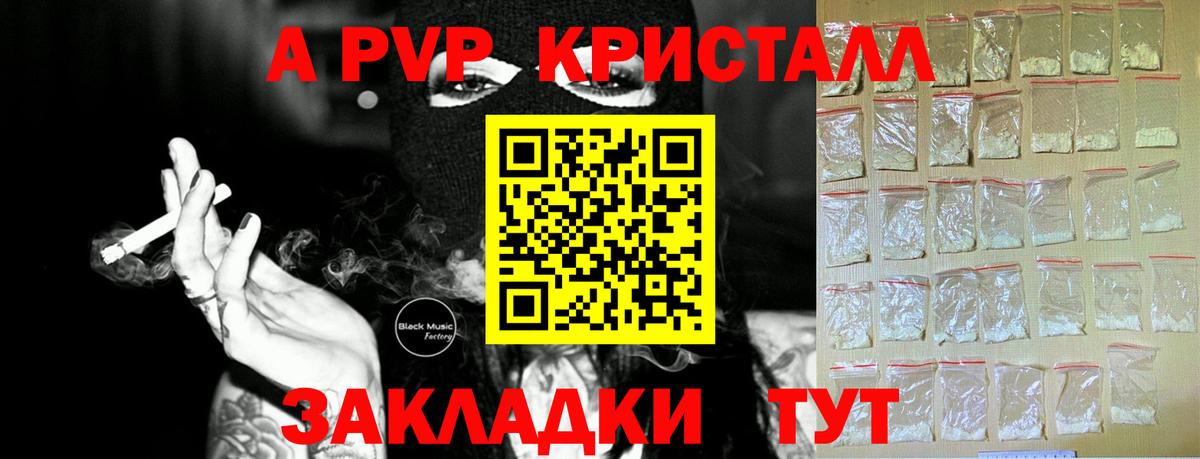 A PVP СК КРИС Зеленогорск