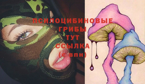 сатива Абаза