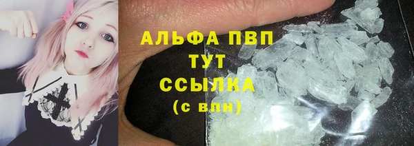 сатива Абаза