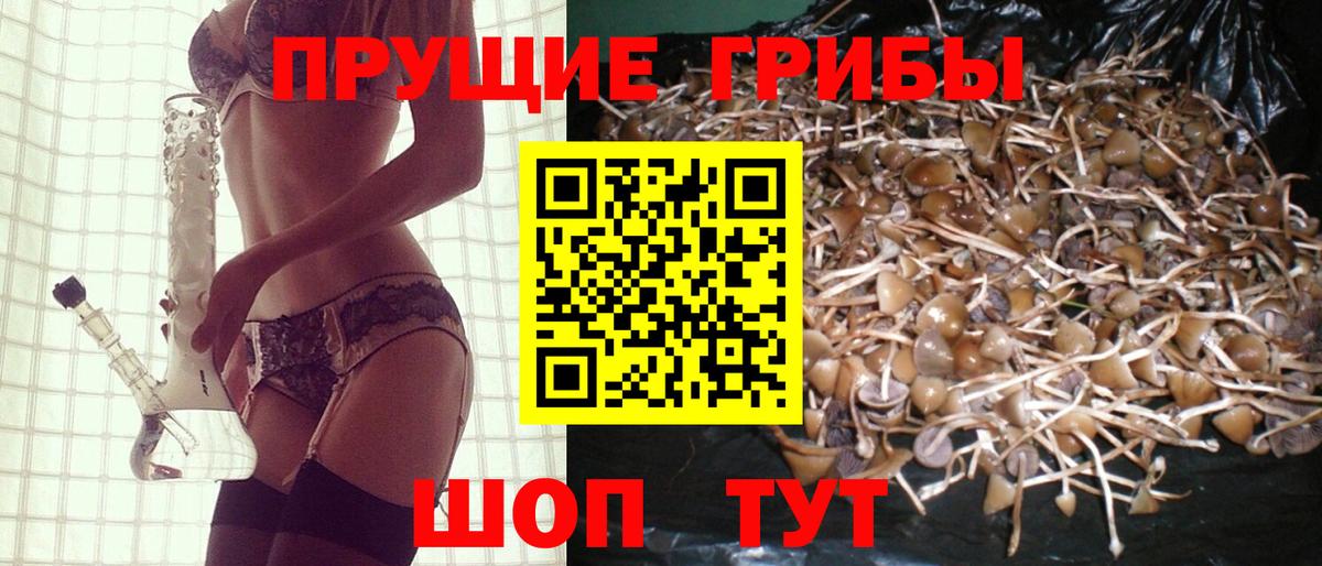 Псилоцибиновые грибы ЛСД Зеленогорск